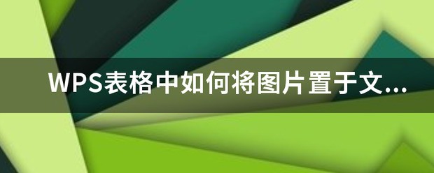 WPS表格中怎么将图片置于文字下方