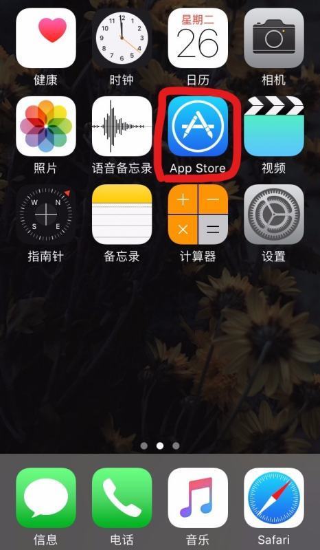 肿么查看自己苹果设备的ID