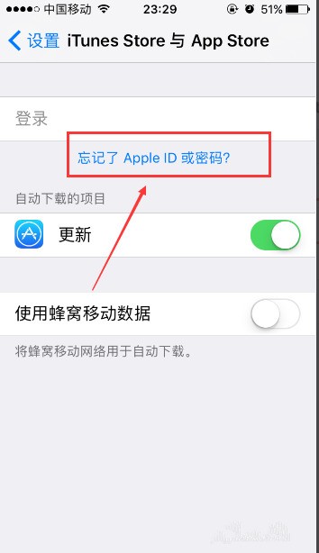 苹果手机怎么查询id密码