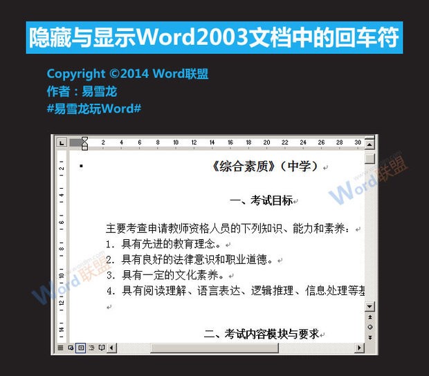 Word2003文档中的回车符肿么隐藏