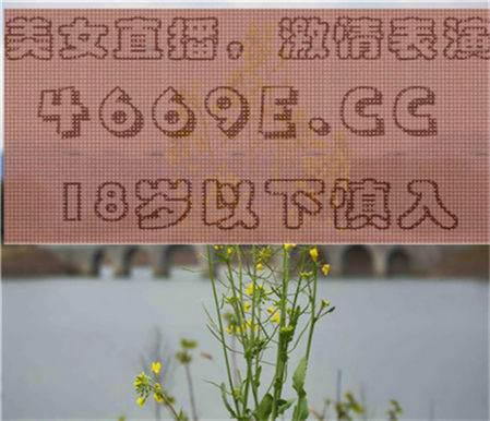 在陌陌可不可以用两个手机直播游戏?