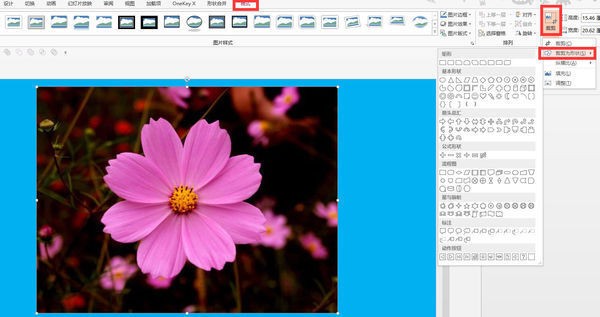 ppt中变形效果为何用不了?