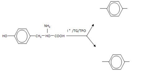 怎么样在word中插入化学结构式?