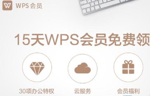 wps论文降重功能在哪里