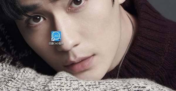 cad快速看图中文字查找没查到