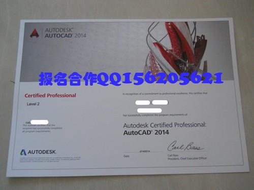 当前Auto CAD哪个版本最实用?