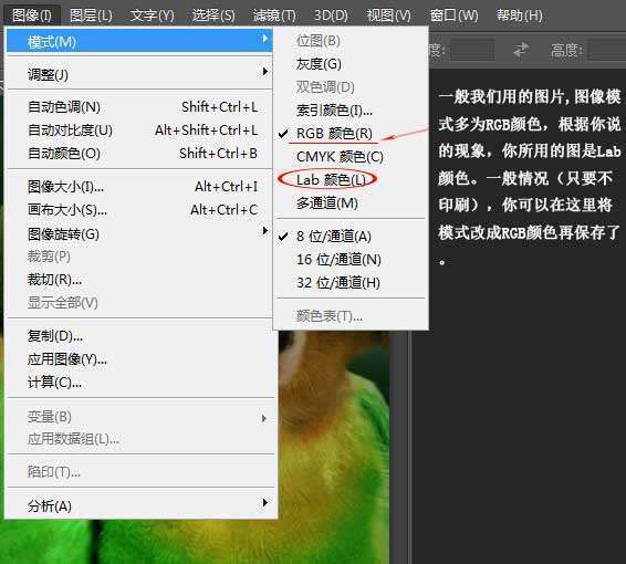 psb(3)jpg电脑是什么意思