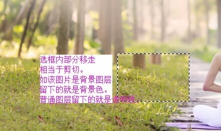 ps肿么给矩形选框上色