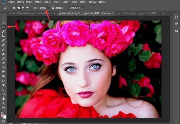 带兰字的花有哪些？