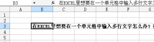 请问怎么样在EXCEL的一个单元格中输入多行文字啊?谢谢