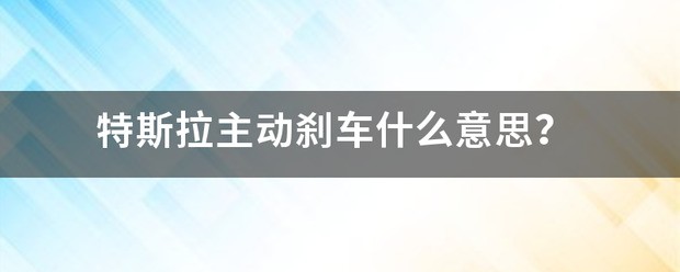 特斯拉豆包什么意思
