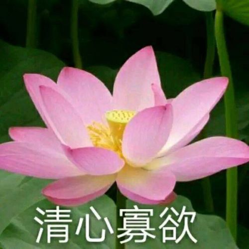 华为p20大概要价钱