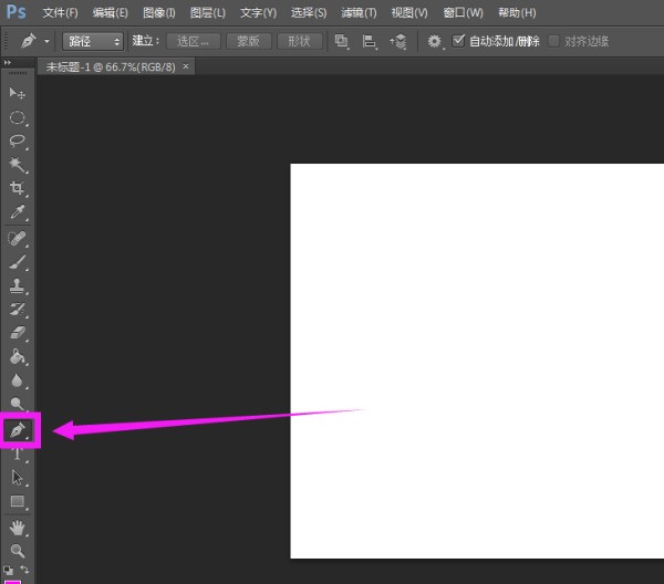 在Photoshop中，用钢笔工具画出来的曲线也称为_____。