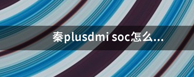 秦plusdmi
