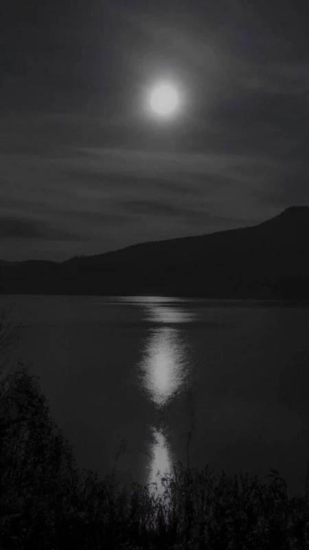 小米八屏幕下方一直闪