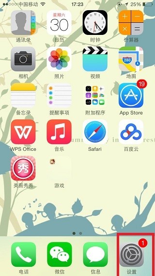 为什么苹果手机通讯录里头有voice