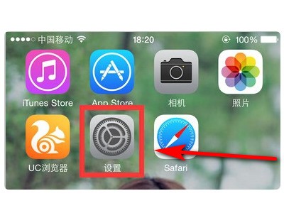 苹果手机为何打开数据却没有网?