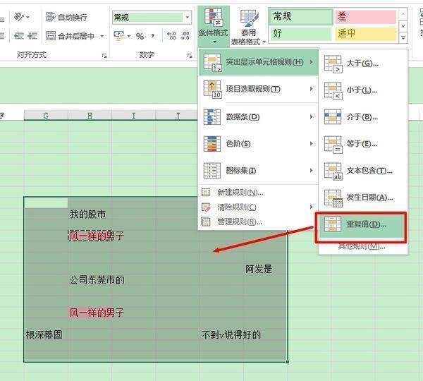 excel表格怎么筛选重复的文字项