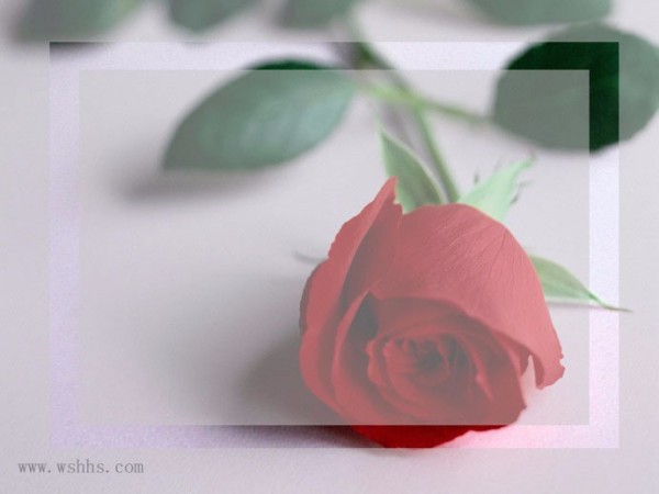 想知道用ps怎样做出这样的效果 还有怎样做出不透明和半透明的边框