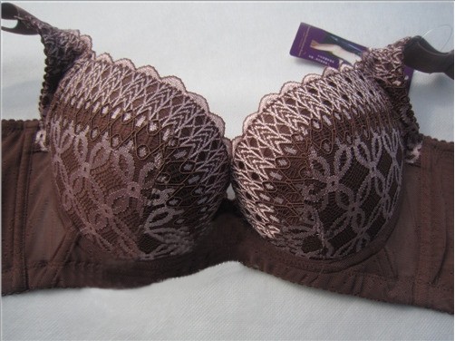 求PS去繁琐执务处胞曲家物水印的教程