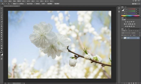 ps肿么修整唯美花效果图 ps修整唯美花效果图的方法