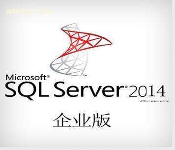 SqlServer开发版与企业版有什么不同