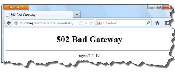 502Badgateway是什么错误