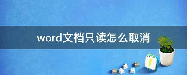 WORD文档好不好取消只读