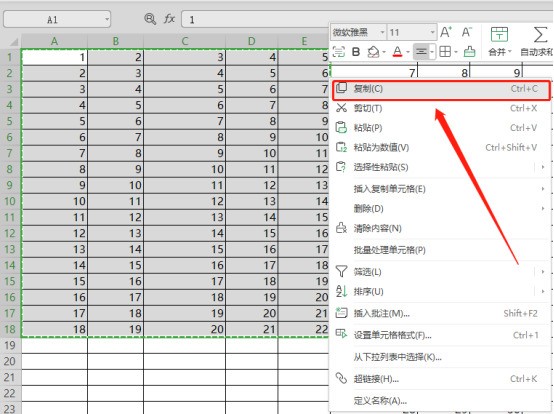 怎样把WPS中的表格连文字带表格一同来自复制到CDRX4里