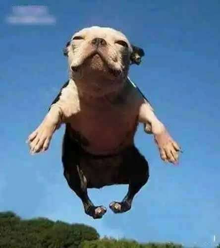 一个分市场至少具备哪些条件可以考虑选为目标市场