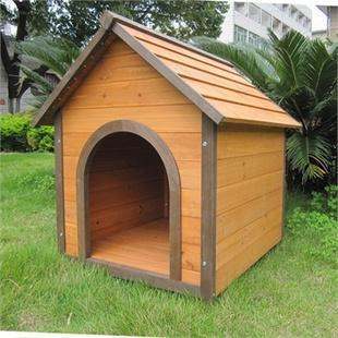 开小型犬舍需要注意什么？