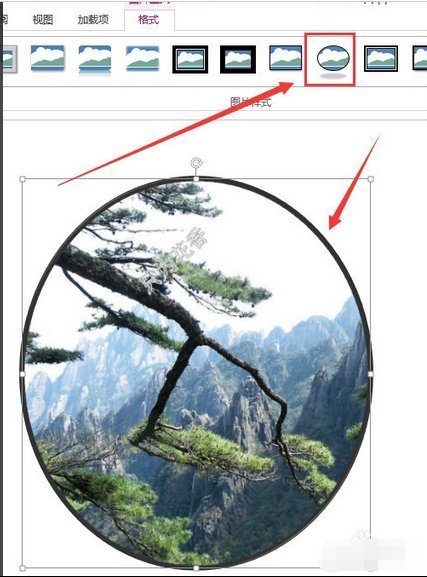 在ppt中怎么把图片变成一个圆形