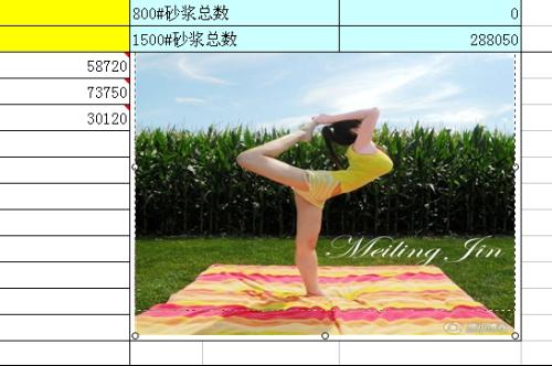 Word表格插入相片后行距大小怎样调节行距