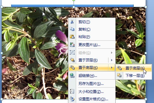 为何ppt打印预览的时候显示不了图片？