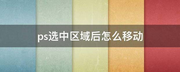 ps软件选中区域怎么移动