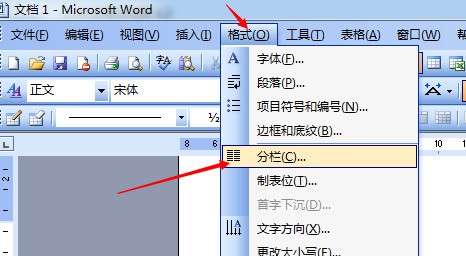 word肿么分成两列排版