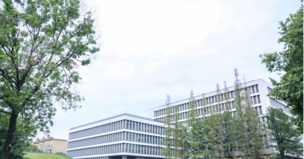 南京林业大学毕业生可以去新加坡工作吗