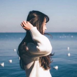 品茗软件wps不兼容怎么处理