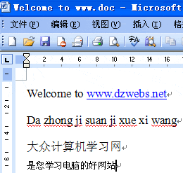 为何Word文档的中英文字下面有下划线