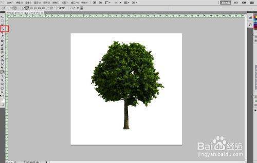 ps怎么样做树复及非劳常汽责落术固突的阴影