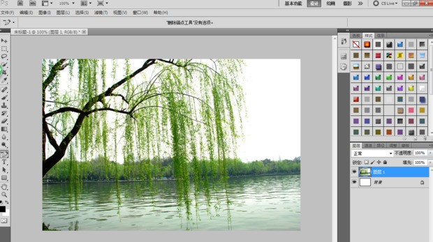 在ps中怎么用画笔工具绘制树叶？