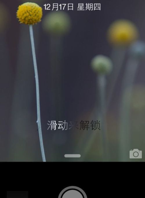 苹果手机相片怎么美颜