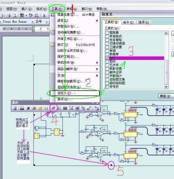 怎么将protel中电路图导入到word中