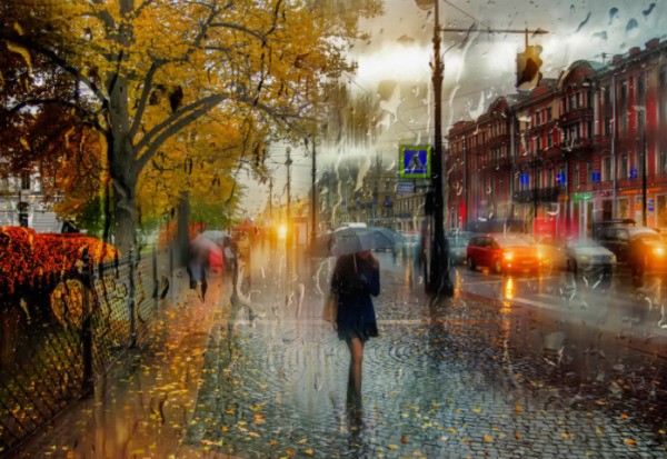 忘记了证书编号肿么查？