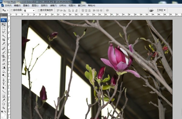 怎样使Photoshop里的相片的局部放大？