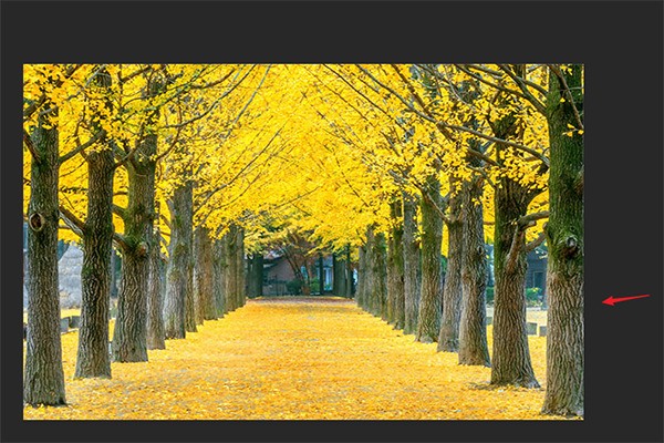 ps文字工具打字不显示横线