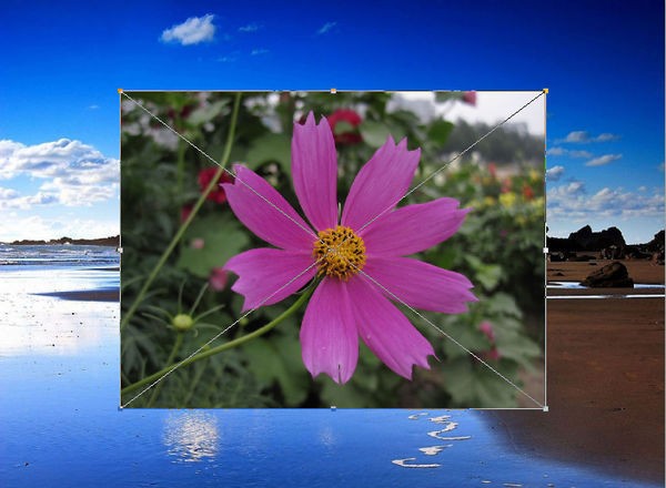 ps来自中肿么在新建图片中插入图片