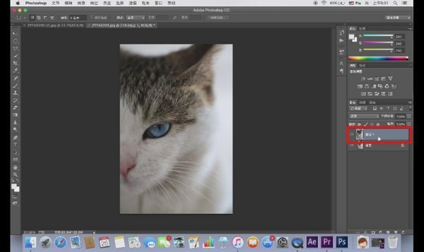 ps怎么来自镜面对称