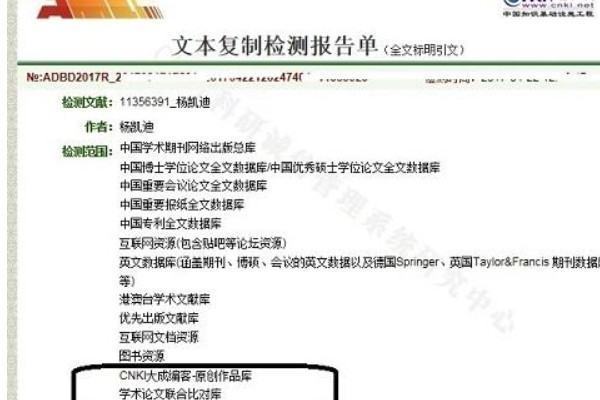 大雅场讲百外广论文查重准吗有知网严格吗