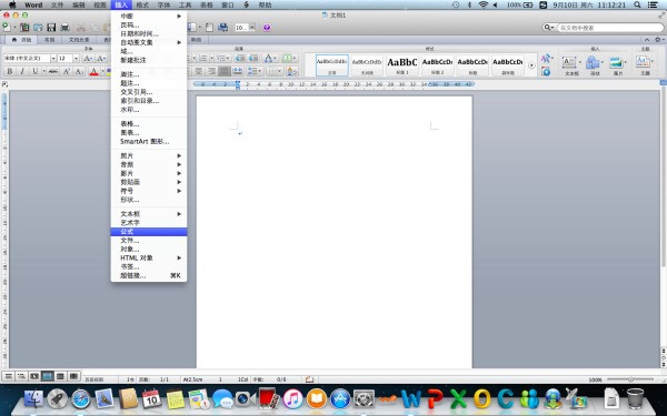 word肿么打假分数